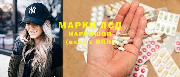 прущий лед Алзамай