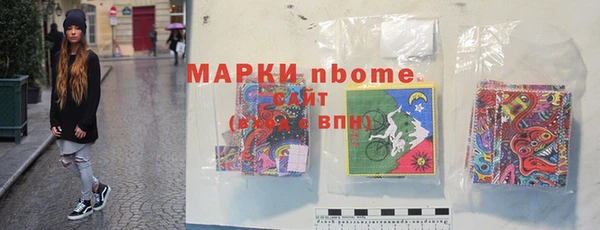 прущий лед Алзамай