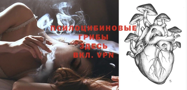прущий лед Алзамай