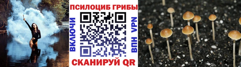 Галлюциногенные грибы Magic Shrooms Пущино