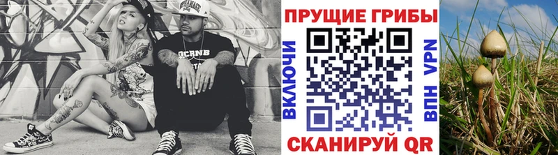 Галлюциногенные грибы мухоморы  Пущино 